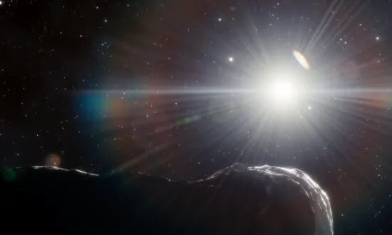 Astronomers Discover Potentially Hazardous Asteroid That Could Collide With Earth