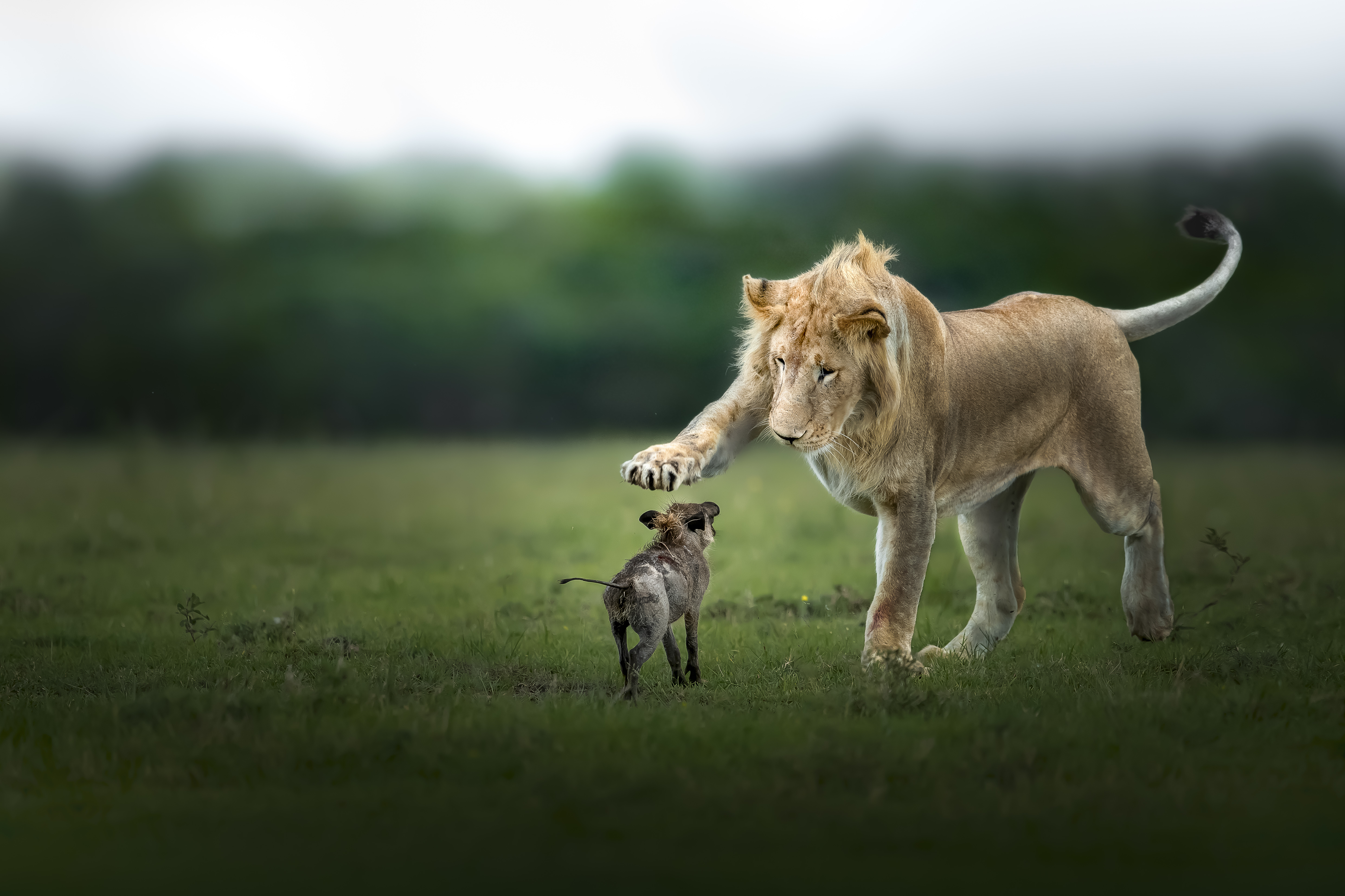 Epoch Times Photo