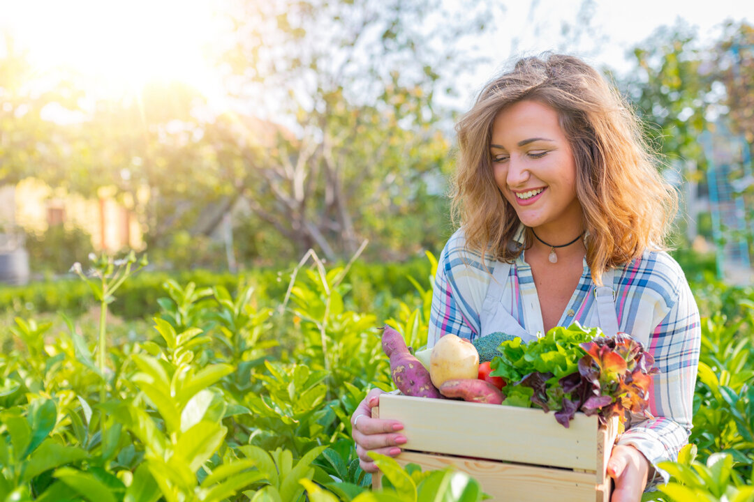 Nothing genetically modified about these veggies. Only organic. (Shutterstock)