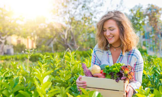12 Foods That Look Just Like the Organ They Benefit