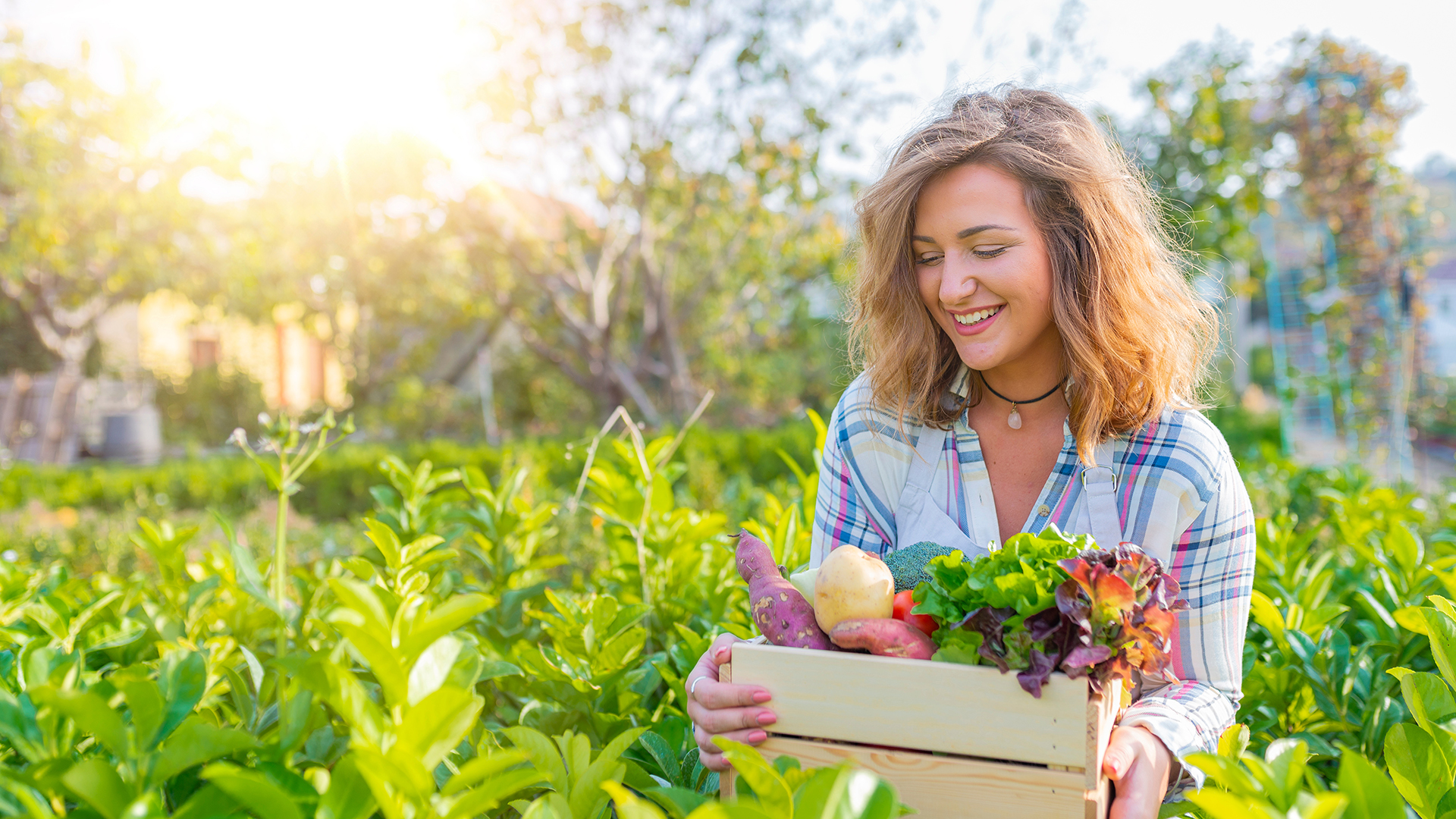 12 Foods That Look Just Like the Organ They Benefit - Vimarsana News