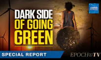 Child Labor: The Dark Side of the Green Revolution