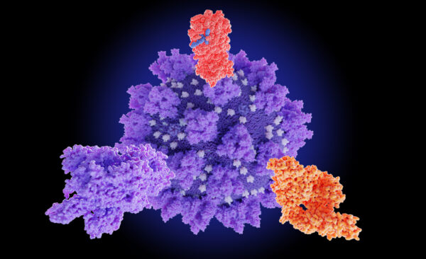 Millions of people are still nursing themselves in the aftermaths as they recover from spike protein injuries. Illustration of spike protein of SARS-CoV-2. (Juan Gaertner/Shutterstock)