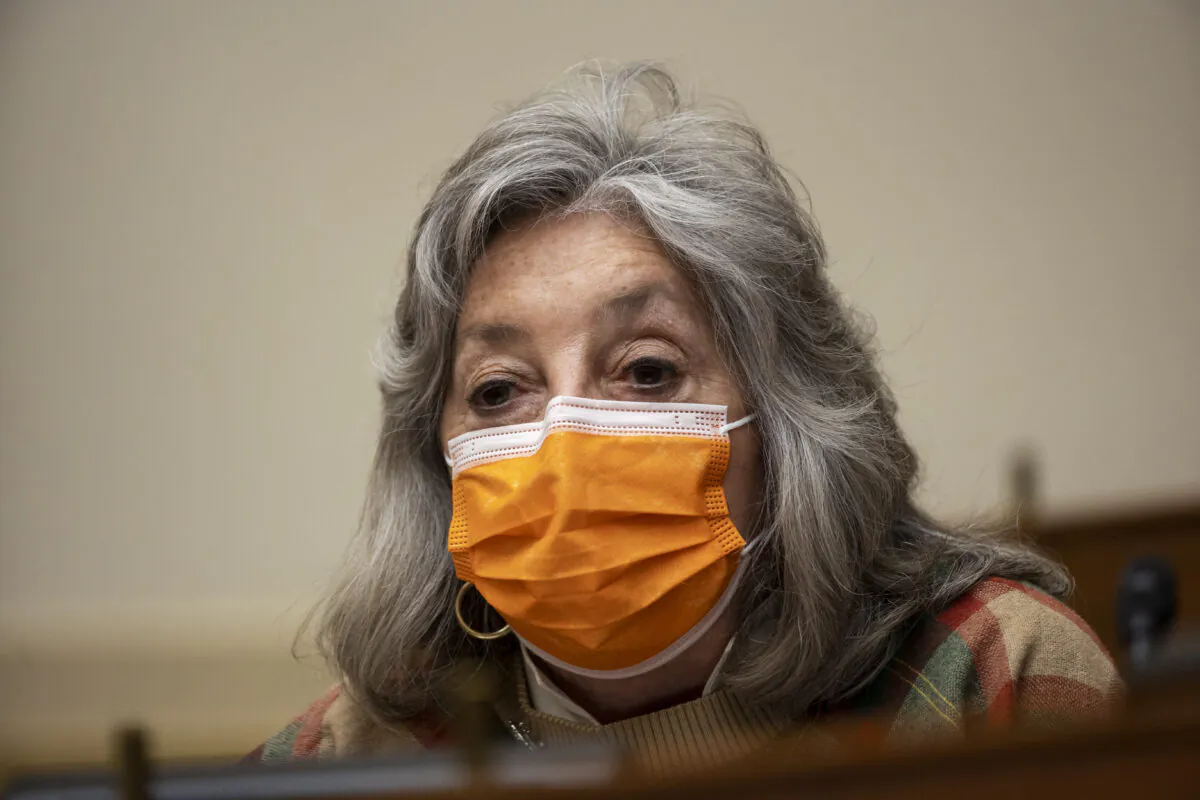 Rep. Dina Titus (D-Nev.) speaks as U.S. Secretary of State Antony Blinken testifies before the House Committee On Foreign Affairs March 10, 2021 on Capitol Hill in Washington. (Ting Shen-Pool/Getty Images)