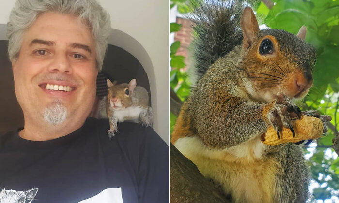 Baby Squirrel Forms Precious Bond With Disabled Veteran After Being Rejected by Her Mother
