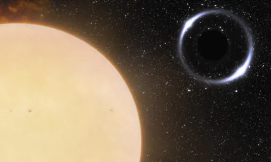 Closest Known Black Hole to Earth Spotted by Astronomers