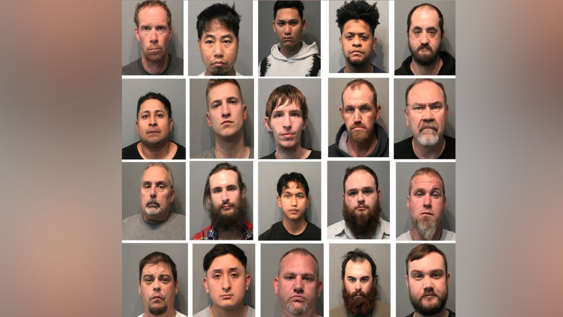 20 Arrested in Indiana for Child Sex Crimes in Multi-Day Sting Operation - Vimarsana News