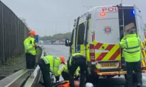 Climate Activists Cause Disruption on UK’s Busiest Motorway as COP27 Gets Under Way