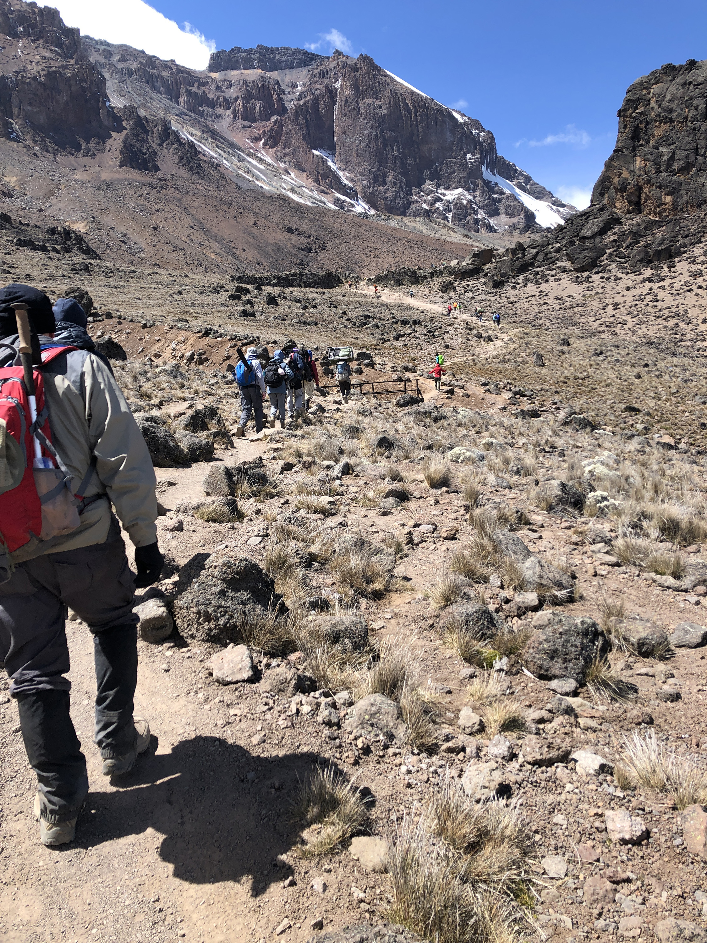 the alpine desert of Mount Kilimanjaro