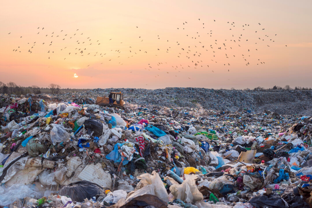 (Roman Mikhailiuk/Shutterstock)