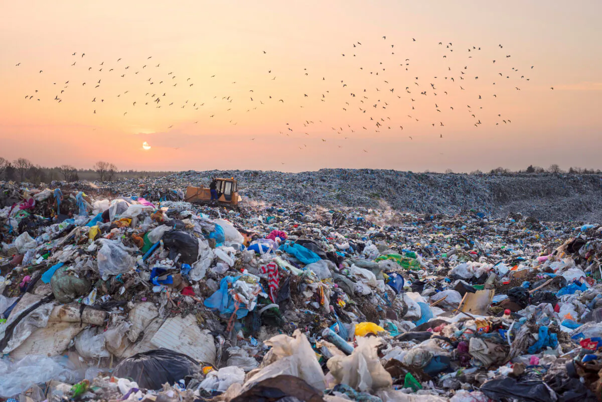 (Roman Mikhailiuk/Shutterstock)