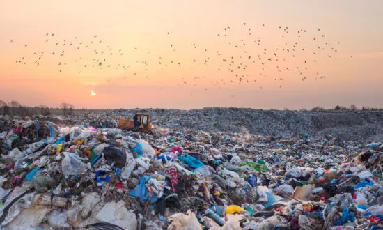 Australian Environment Minister Disappointed as UN Members Fail to Reach Agreement on Plastic Pollution