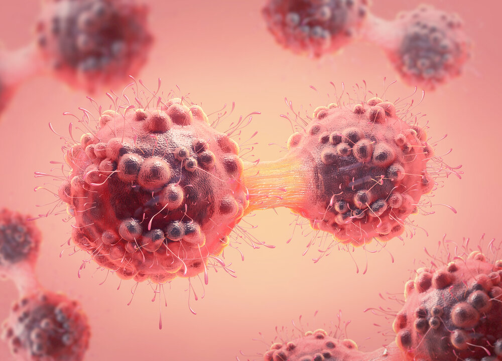 Probiotics Are Becoming a New Front in Fighting Cancer