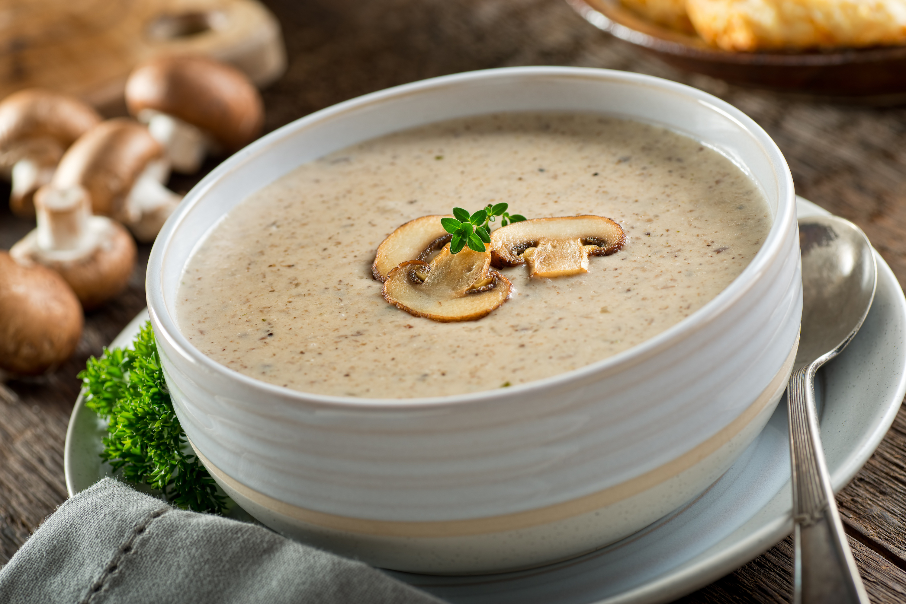 Cream of Mushroom Soup (Recipe) - Vimarsana News