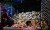 Food Insecurity to Worsen in Sri Lanka Amid Poor Harvest, Economic Crisis: UN