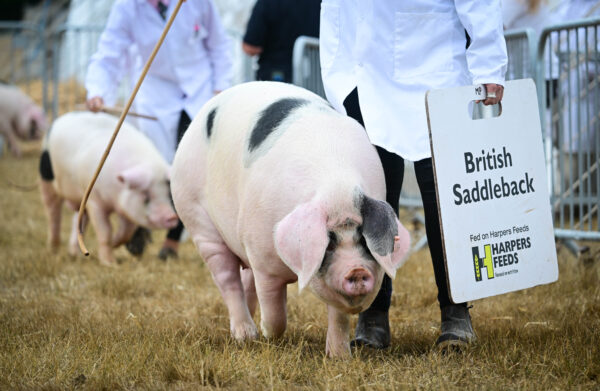 Epoch Times Photo