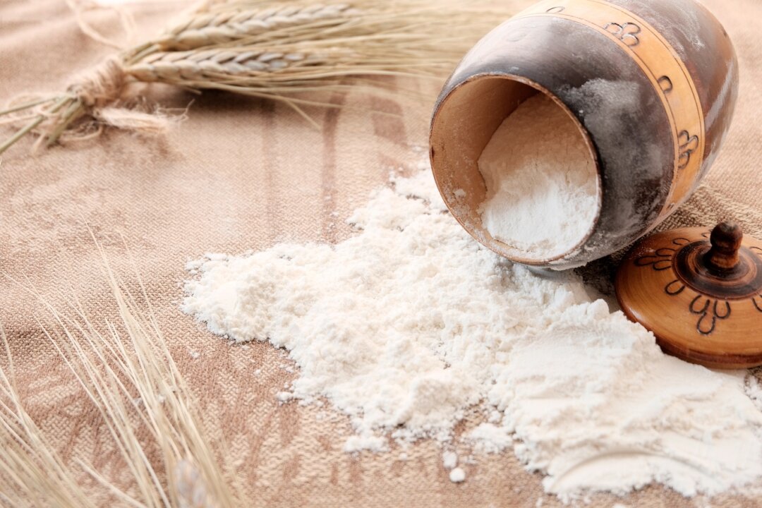 Wheat has been cultivated to increase its gluten content because of how it affects the consistency and quality of bread. (SvetaKost/Shutterstock)