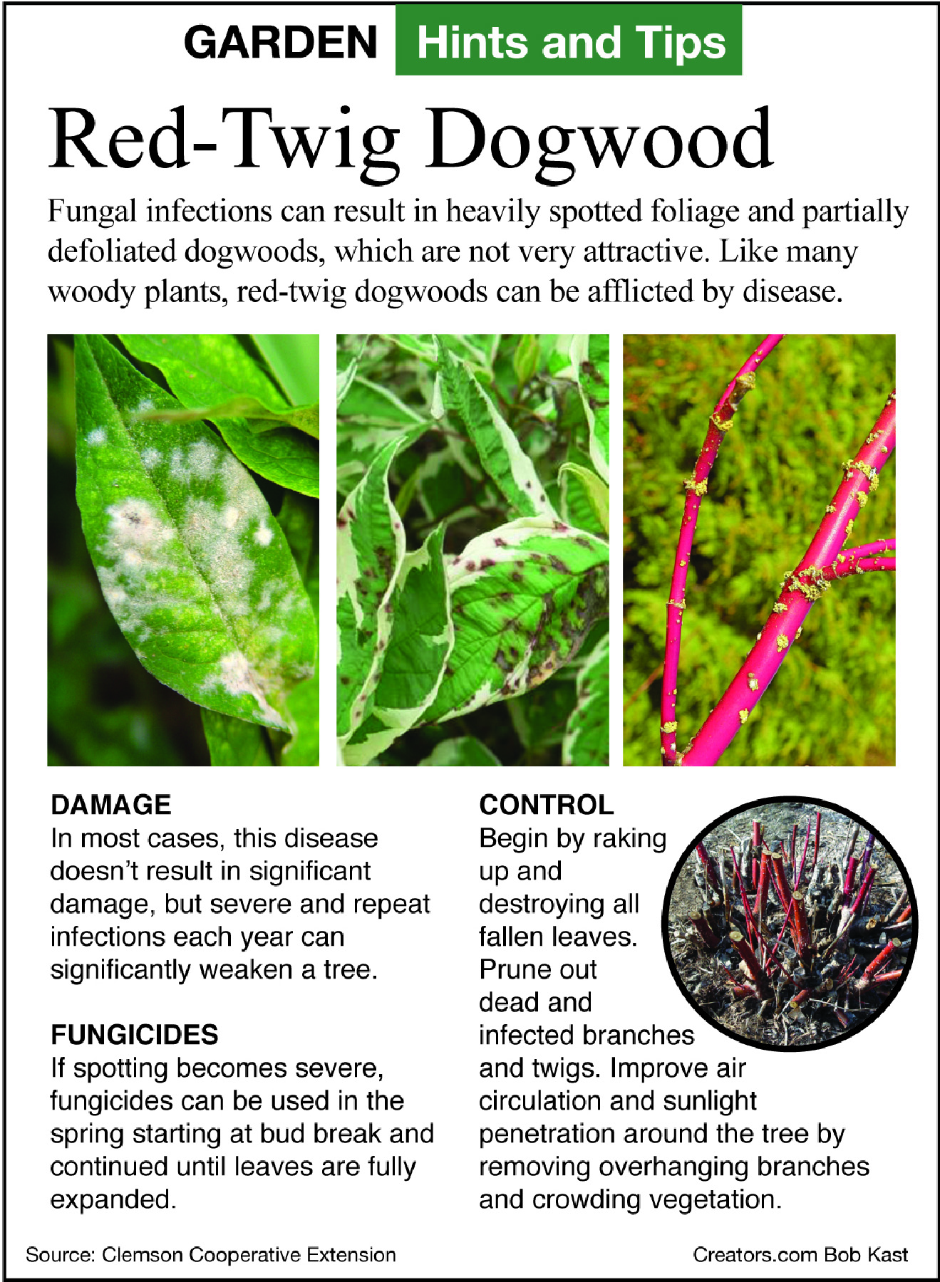 garden tip sheet
