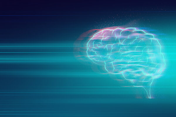 6 Recipes for Brain Fog, Memory Loss, and Dementia