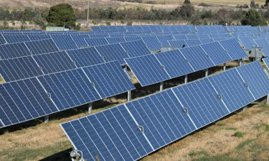CEO Says Factory Would Need 250 Acres of Solar Panels to Run Properly