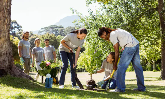 Proverbs to Cherish: ‘Many Hands Make Light Work’