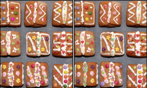 Spot the Difference Daily