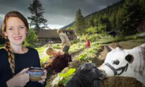 SoCal Couple Start Homestead in North Idaho to Grow Own Food, Raise 10 Kids in Traditional Lifestyle