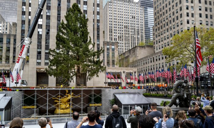 2022 年 11 月 12 日，参观者在纽约洛克菲勒广场观看 2022 年洛克菲勒中心圣诞树从拖车上升起。（Craig Ruttle/美联社照片）