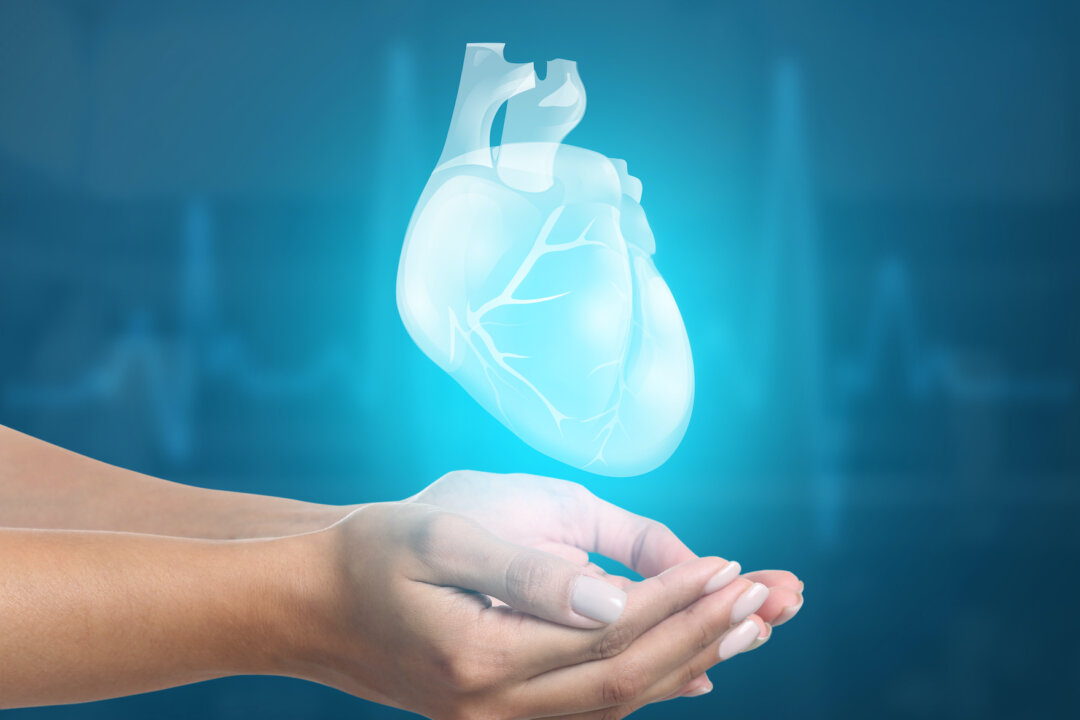 Scientists are in a race to develop genetically humanized animals for their organs. (Africa Studio/Shutterstock)