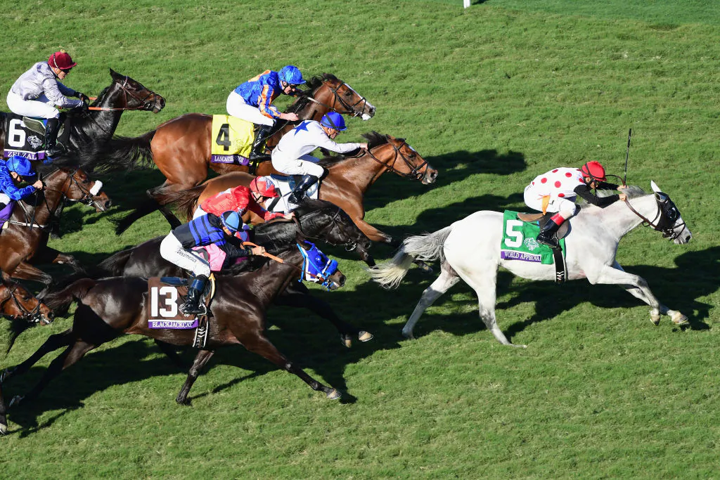 World Approval ridden by John Velazquez (#5) wins the Breeders' Cup Mile on day two of the 2017 Breeders' Cup World Championship at Del Mar Race Track in Del Mar, Calif., on Nov. 4, 2017. (Harry How/Getty Images)