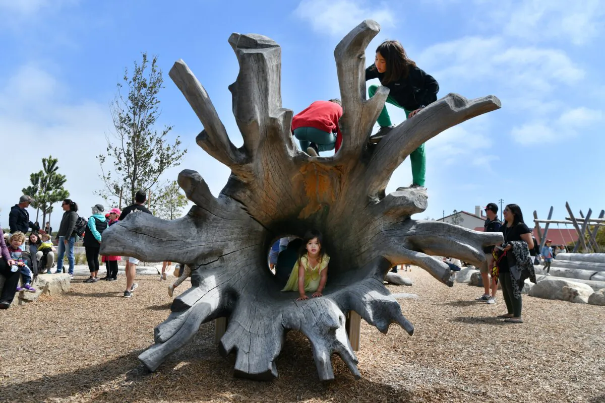 Children climb and explore the fallen tree playground at the Presidio Tunnel Tops, a 14-acre park in the Presidio of San Francisco. (Jose Carlos Fajardo/Bay Area News Group/TNS)
