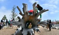 New San Francisco Park Makes National Geographic’s Global List of Best Trips for Next Year