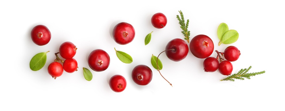 Fresh,Forest,Berry,Cranberry,Isolated,On,White,Background.