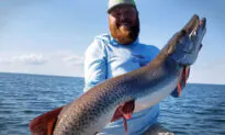 Angler Reels in Monster Muskie From Minnesota Lake, Garners State Record—And Has the Photos to Prove It