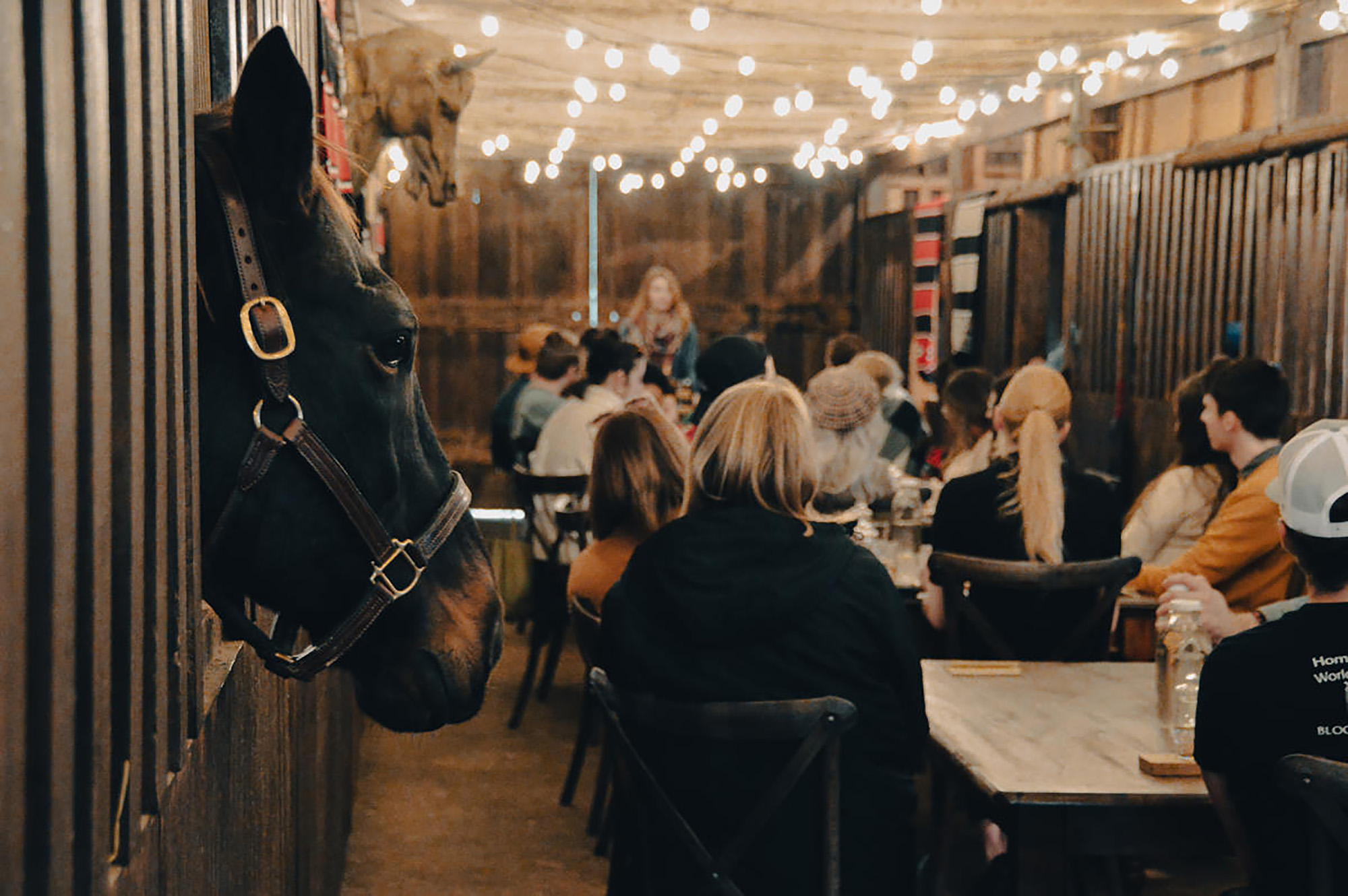 These Kentucky Inns Offer a Taste of History Along With the Famous Drink - Vimarsana News