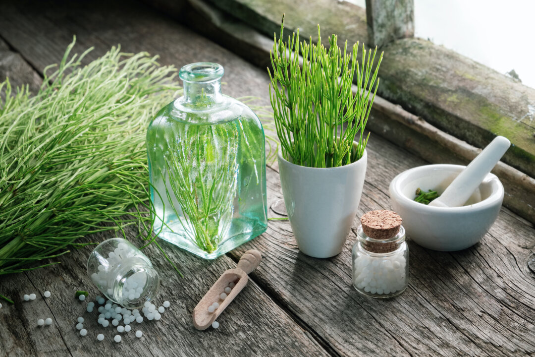 The silica in plants such as horsetail can be very helpful in removing aluminum. (Chamille White/Shutterstock)