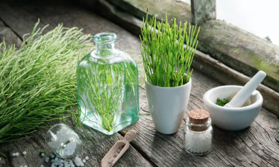 Turmeric, Horsetail, and Garlic: Can They Reverse Aluminum Toxicity?