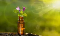 Bach Flower Remedies: A Tool for Emotional and Energetic Balancing