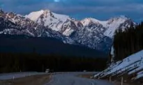 Alberta Mountain Towns Work to Coexist With Bears Through Warnings and Other Actions