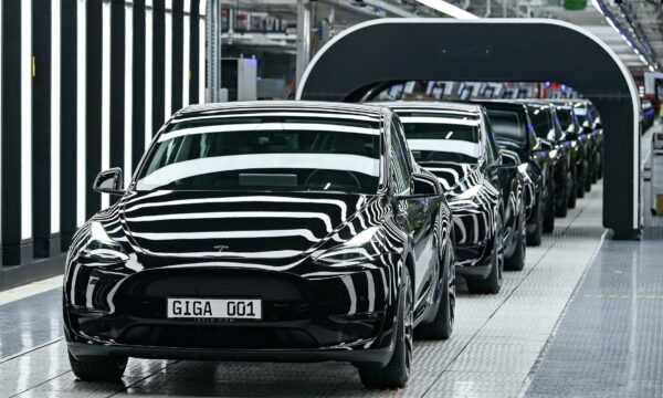 Model Y cars