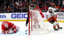 Ducks Beat Wings, Snap 3-Game Skid on Strome’s OT Goal