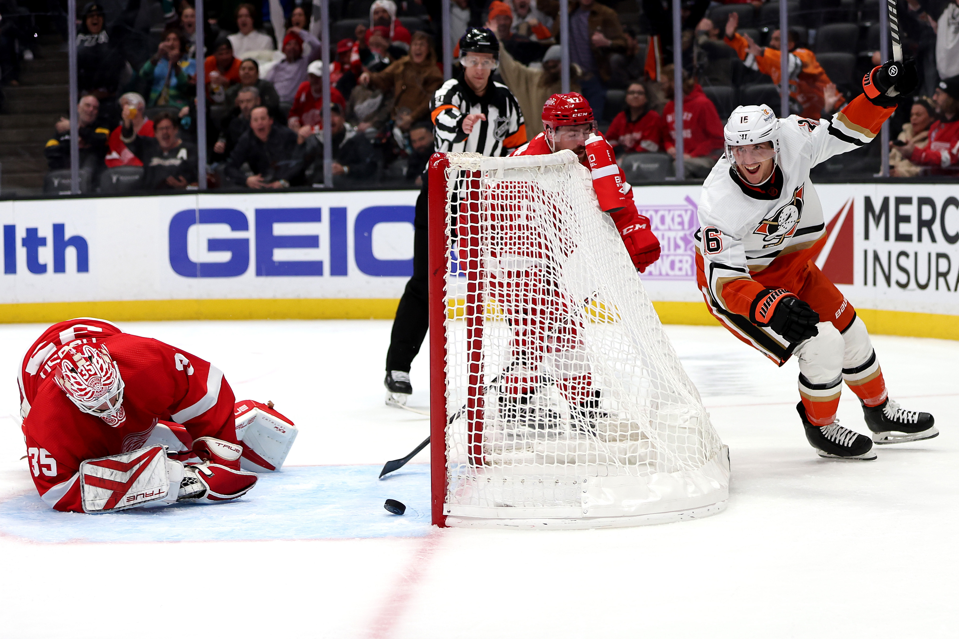 Ducks Beat Wings, Snap 3-game Skid on Strome's OT Goal - Vimarsana News