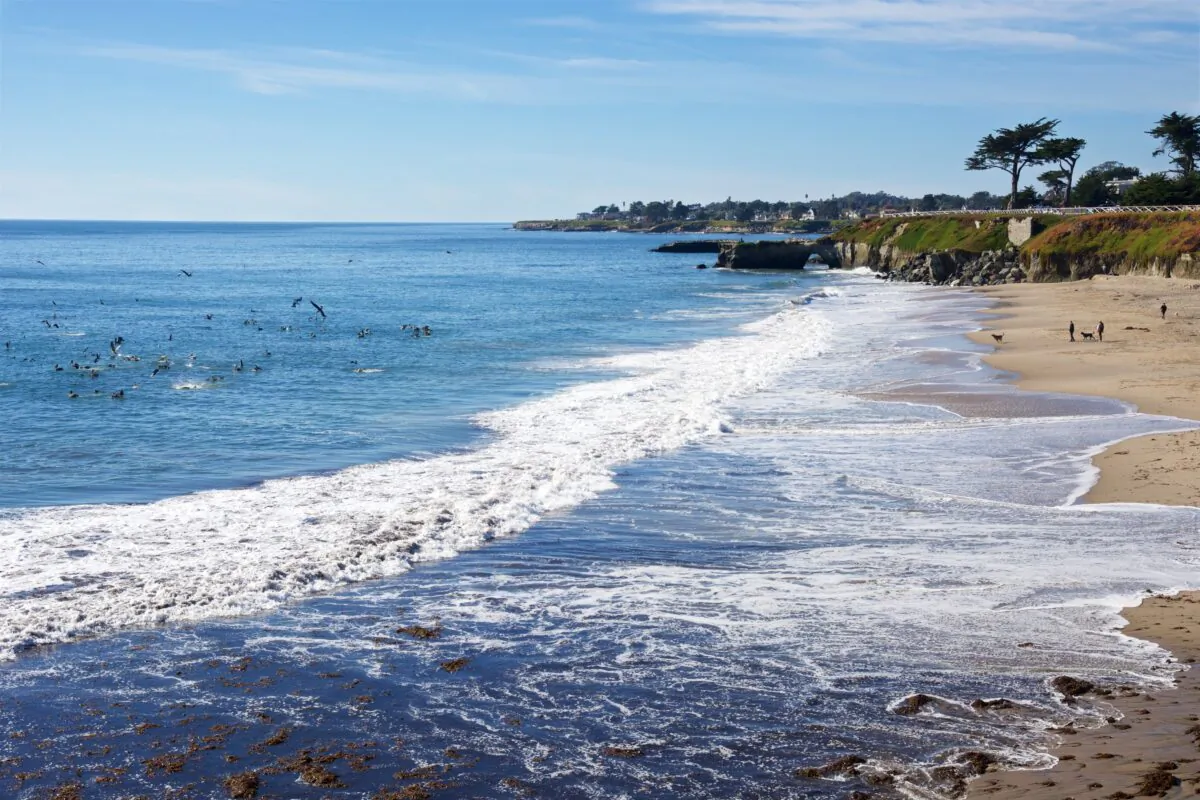 Dog-friendly Its Beach, with a sandstone arch at the end, in Santa Cruz, Calif. (Courtesy of Karen Gough)