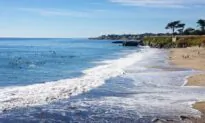 Arches, Beaches, and Butterflies in Santa Cruz, California