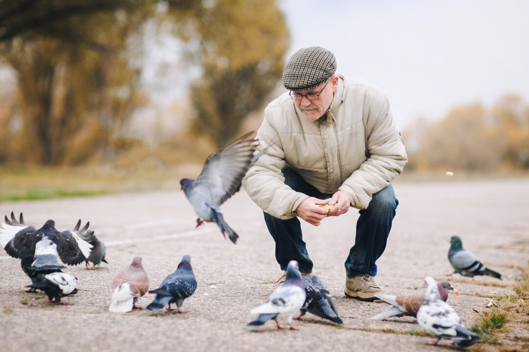 Shchus/Shutterstock