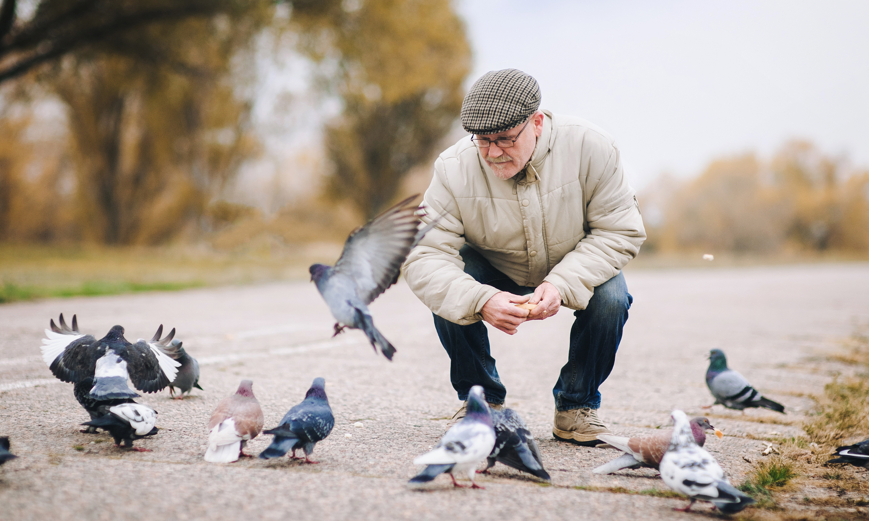 Being Around Birds Can Give You Lasting Mood Boosting Benefits - Vimarsana News