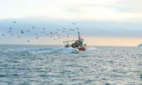 Investing in Vintage Fishing and Boating Gear