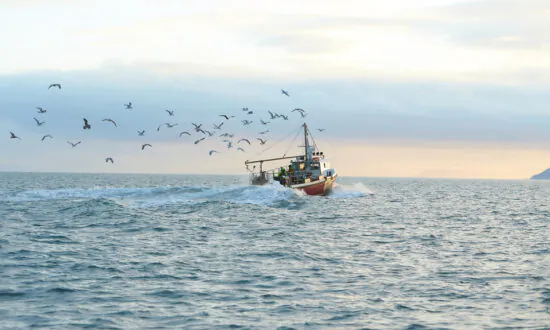 Investing in Vintage Fishing and Boating Gear