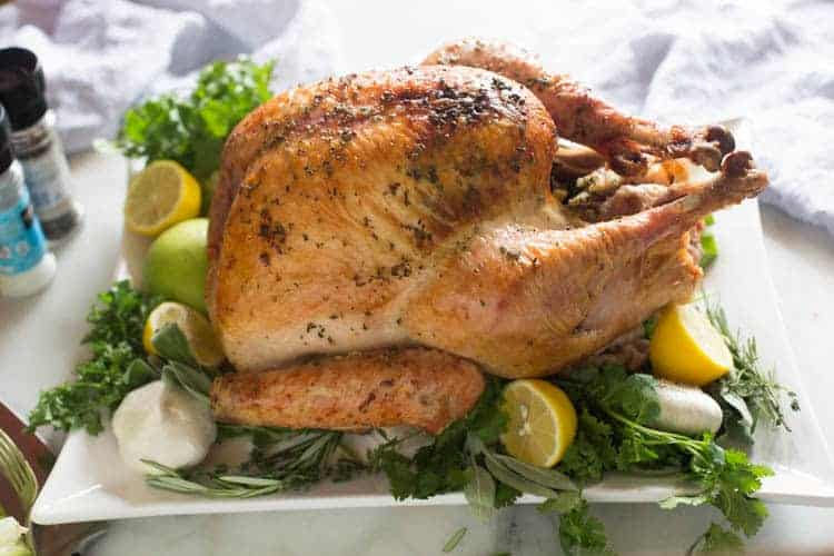 Thanksgiving turkey
