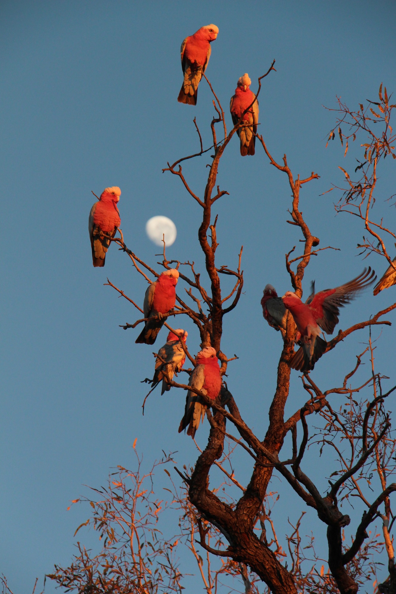 Epoch Times Photo